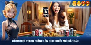 cách chơi poker vin777 - ảnh đại diện